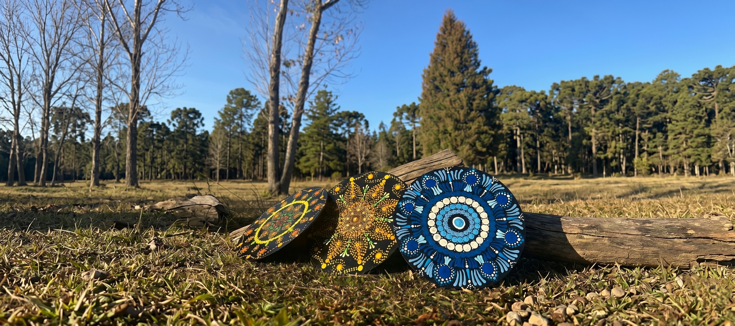 Mandalas Alvorecer na Natureza